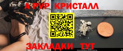 стафф Шебекино
