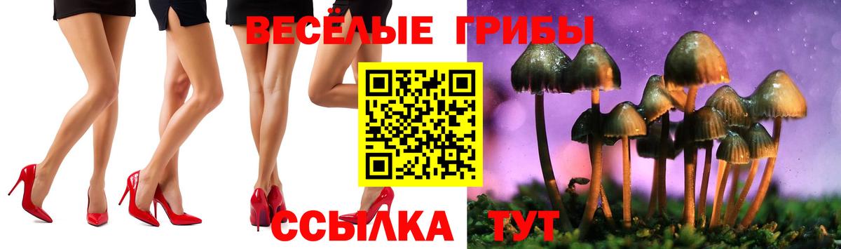 Галлюциногенные грибы ЛСД  Вход с VPN  Псилоцибиновые грибы Magic Shrooms  Аша 