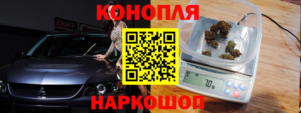 Марихуана план  Бошки Шишки тримм  Бошки Шишки White Widow  Вход с VPN  Аша 